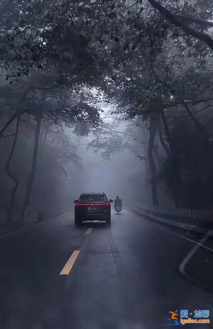 “禁區”變“景區”？云南哀牢山一夜爆火 當地發布安全提示？