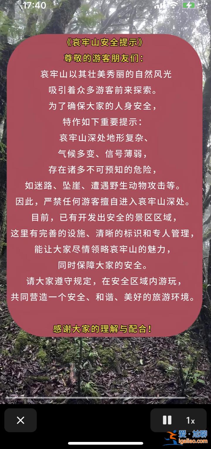 爆火的哀牢山到底有多兇險？曾發生多起人員失聯遇難？