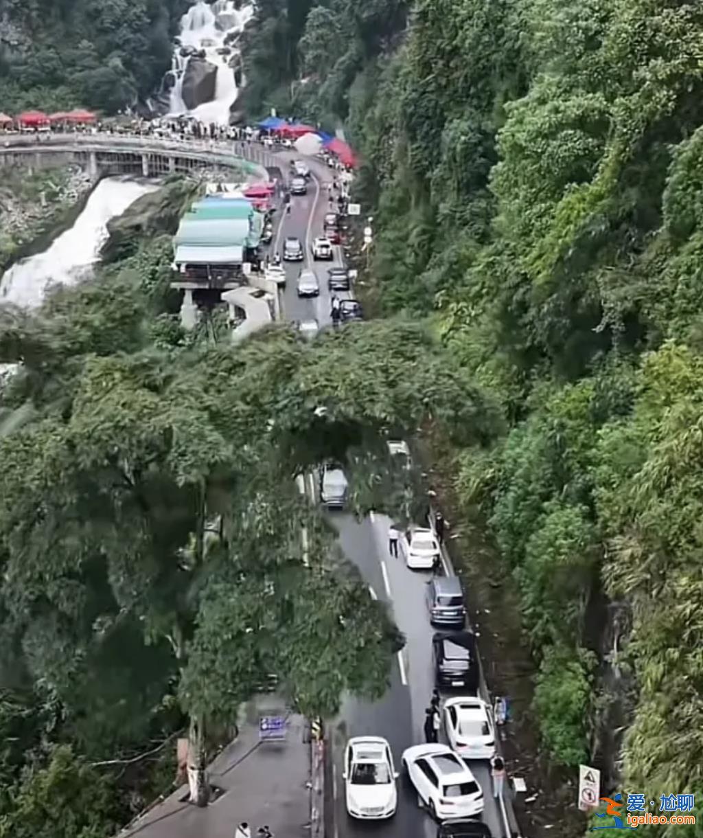 爆火的哀牢山到底有多兇險？曾發生多起人員失聯遇難？