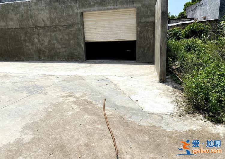 廣東陽春血案背后 一場地界“模糊”的土地糾紛？