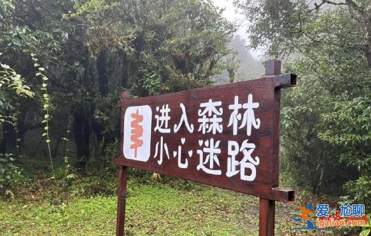 幾年前曾有居民狩獵時 因樹林茂密將同伴當獵物誤殺？
