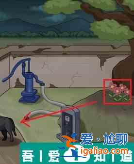看你怎么秀出不去的家怎么過 看你怎么秀出不去的家通關攻略？