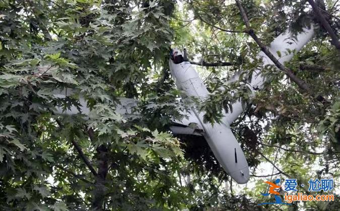無人機滲透入平壤事件由韓國軍方主導？