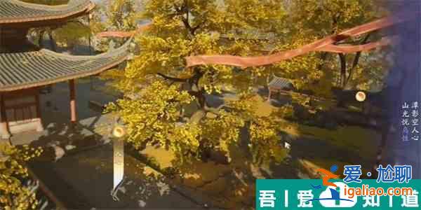 射雕登山觀禪成就怎么達(dá)成 射雕登山觀禪成就達(dá)成攻略？