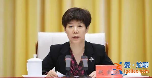 甘肅省副省長趙金云被查？