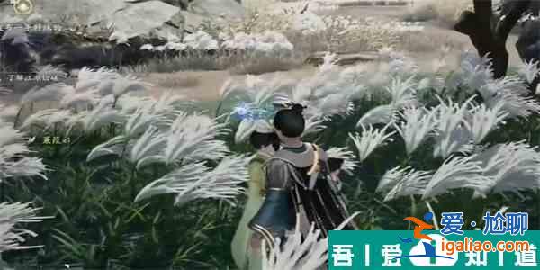 射雕手游三蒹葭獲取方法是什么 具體一覽？