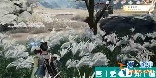 射雕手游三蒹葭獲取方法是什么 具體一覽？
