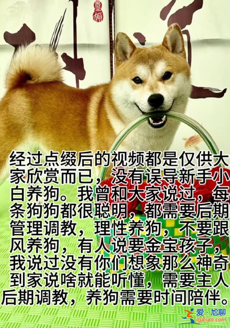 證據(jù)在哪里？對(duì)狗大聲是讓它知道對(duì)錯(cuò)？