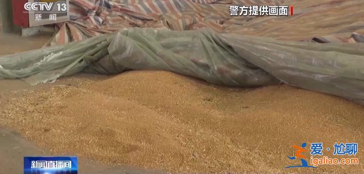 專騙農民高價收糧不付錢 詐騙團伙卷走農民1000多萬元？