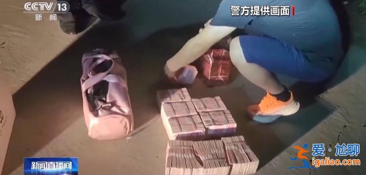 專騙農民高價收糧不付錢 詐騙團伙卷走農民1000多萬元？