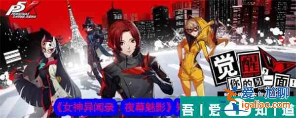 女神異聞錄夜幕魅影知識怎么提升 知識提升攻略？