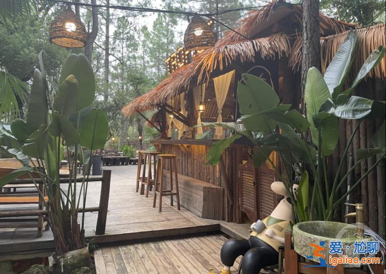 “城”勢而上 | 高端酒店為何扎堆安吉？