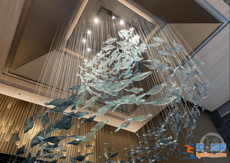 “城”勢而上 | 高端酒店為何扎堆安吉？