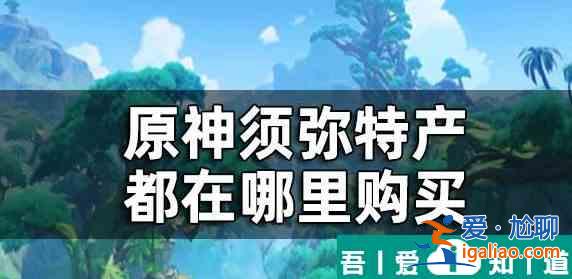 原神須彌所有商人在哪里 具體一覽？