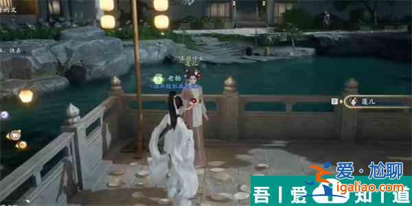 射雕手游蓮子在哪里收集 射雕手游蓮子收集方法？