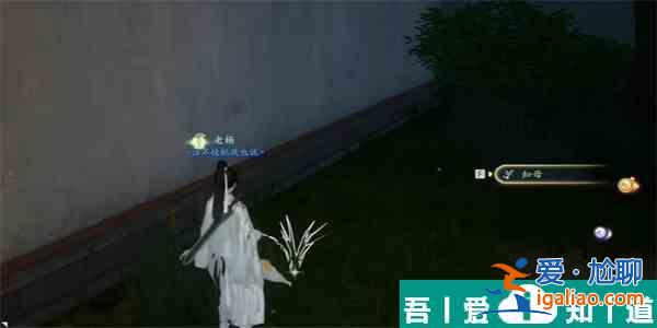 射雕知母怎么收集 射雕知母收集攻略？