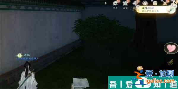 射雕知母怎么收集 射雕知母收集攻略？