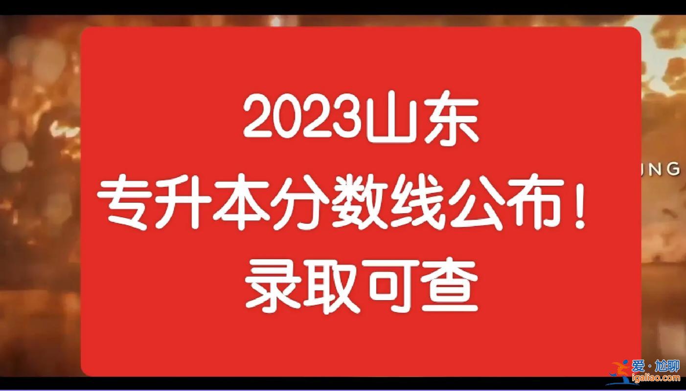 山東專升本up(山東專升本2023公辦錄取分數線)？