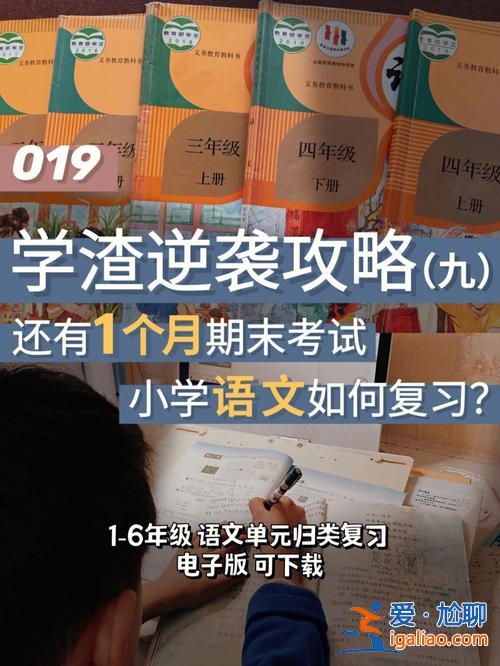語(yǔ)文升學(xué)考試復(fù)習(xí)與指導(dǎo)，小學(xué)語(yǔ)文期末考試怎么復(fù)習(xí)如何提升復(fù)習(xí)效率？