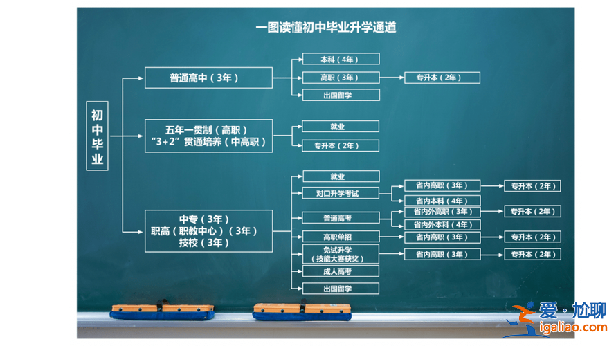 初中生技校升學率(技校升學率高嗎)？