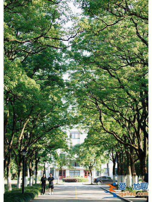 安徽文史哲升學率 安徽大學龍河路校區還有學生嗎？