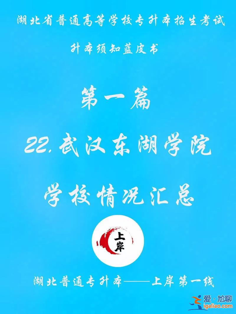 武漢東湖學院2017專升本，武昌職業(yè)學院專升本有哪些院校？