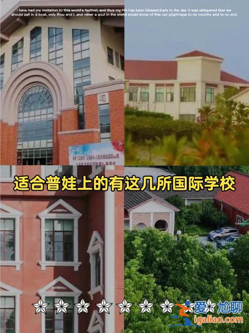 辛升學？凱慧中學升學率是多少？