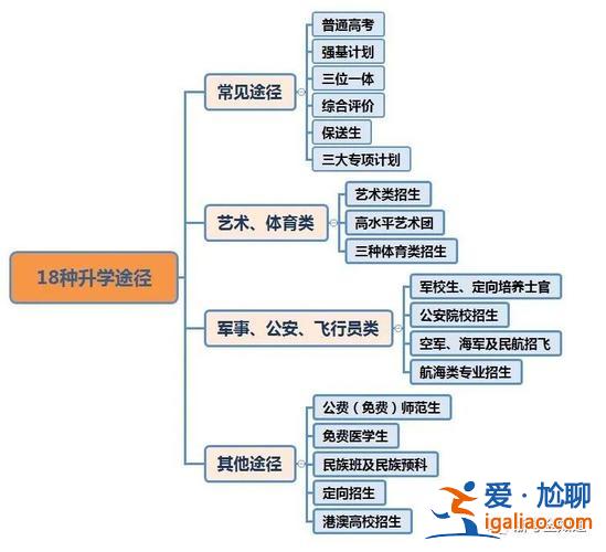 高三升學(新高考升學規劃的升學路徑有哪些)？