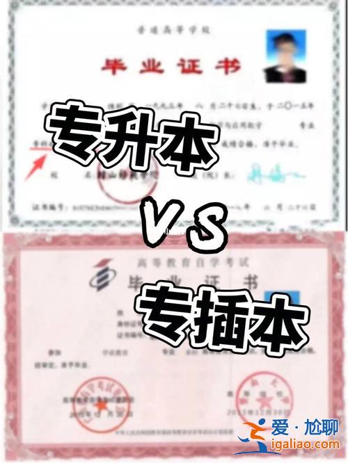 大一報專升本？專升本大一大二報的區別？