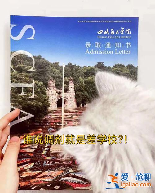 鄭州川美考研升學率，練川實驗學校怎么樣？