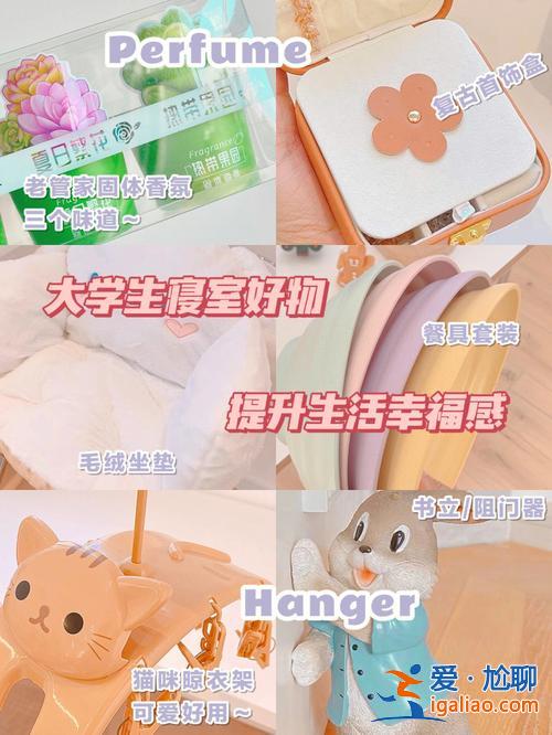 提升學習幸福感好物 宿舍幸福感好物？