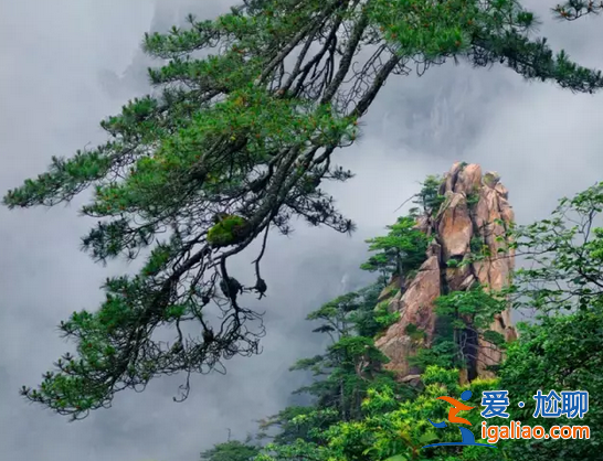 黃山提升學(xué)歷機(jī)構(gòu)哪家好(黃山景區(qū)大專學(xué)歷可以半價(jià)嗎)？