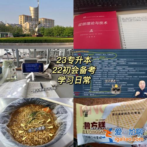 專升本考國網，為什么大專進國家電網比本科吃香？