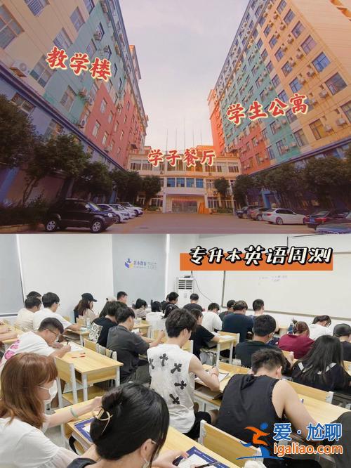 青島專升本輔導機構(青島市專升本培訓機構哪家比較好)？