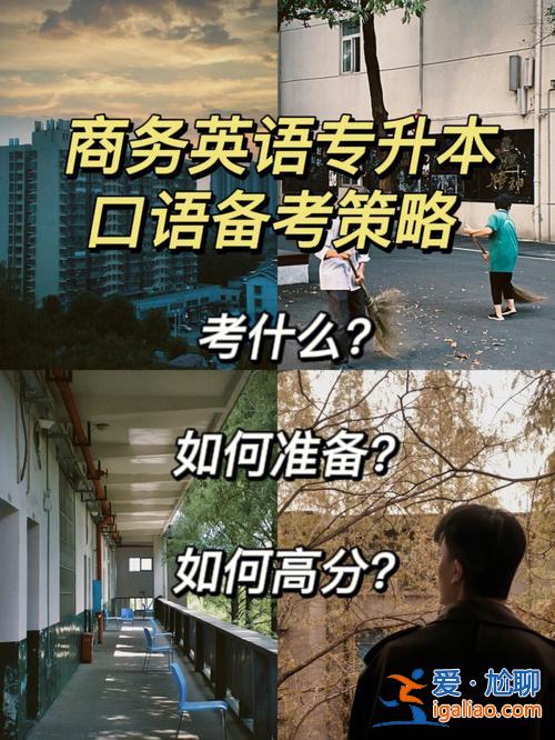 英語系專升本 商務(wù)英語好升本嗎？