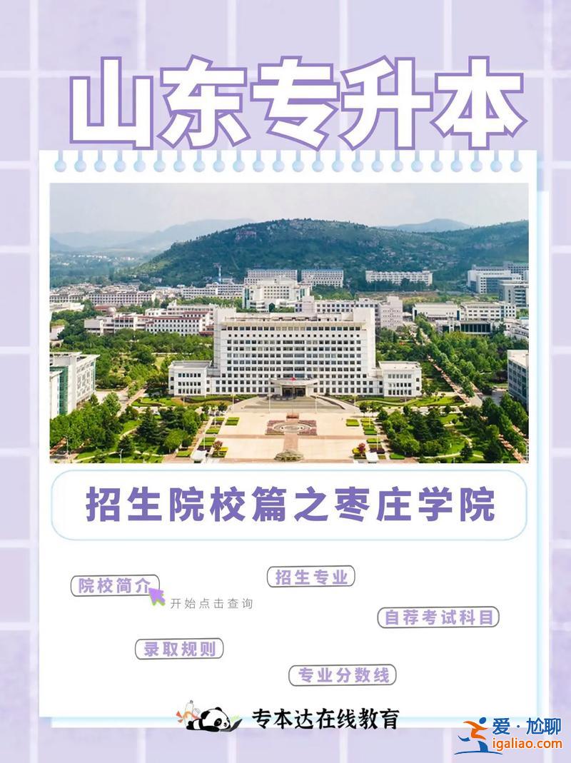 山東棗莊退役士兵提升學(xué)歷？親們，山東的棗莊學(xué)院，這所大學(xué)怎么樣謝謝？