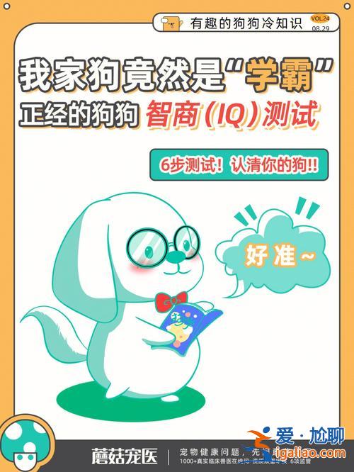 哪些國家升學要測智商的 你知道哪些轟動一時的懸案？