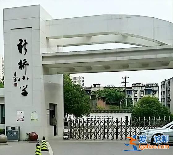 新橋小學升學率排名，重慶小學全國排名？