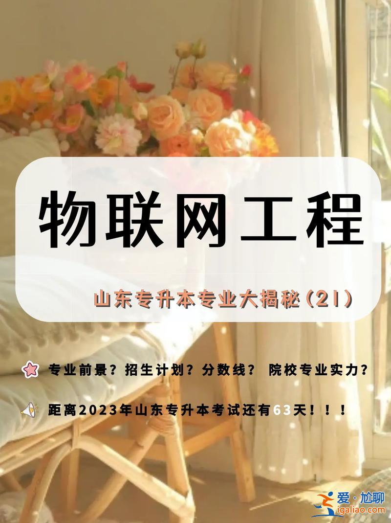 物聯網專升本(物聯網專升本沒考上還可以讀哪些學校)？