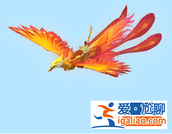 福州初高升學(xué)動態(tài)，福州初招可以報幾所初中？