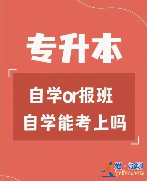 專升本調(diào)研？專升本，輔導員有獎勵嗎？