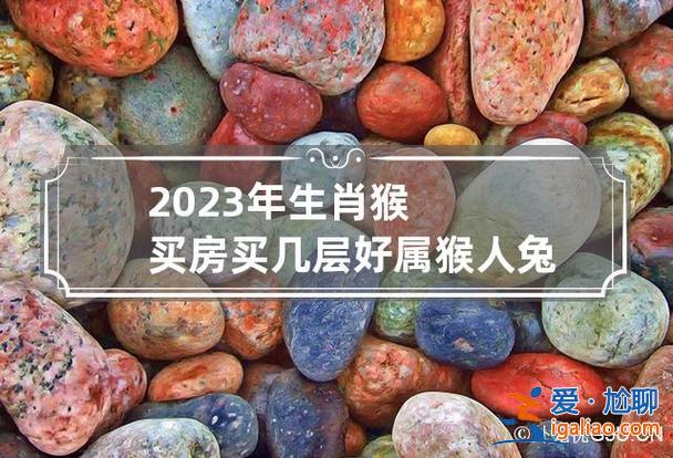 猴人兔年升學？兔年可以建房嗎？