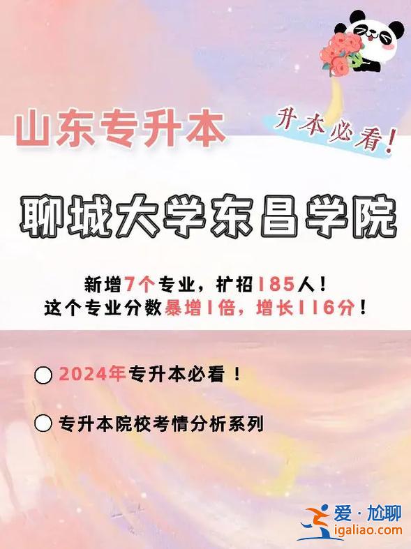 聊城專升本(聊城職業技術學院可以專升本嗎)？