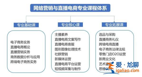 電商專升本(網絡營銷與直播電商專業能升本嗎)？