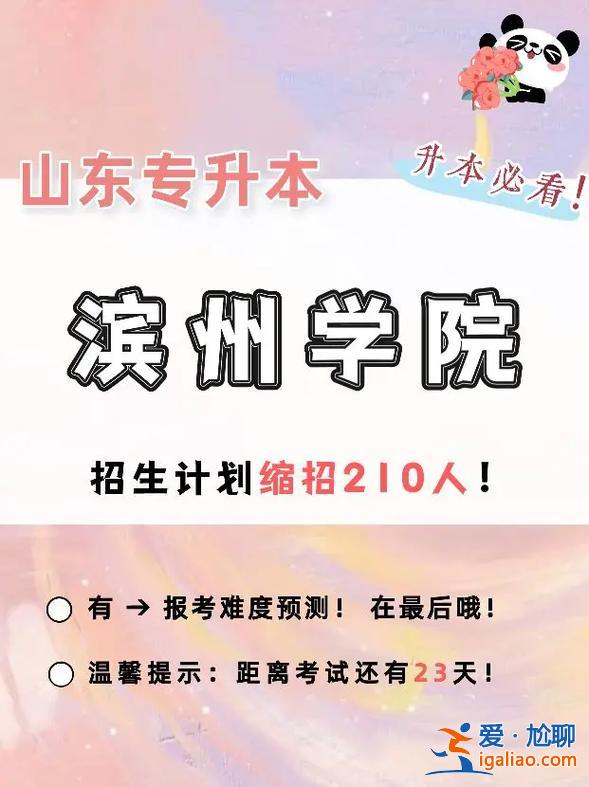 濱州專升本(濱州科技職業(yè)學院能升本嗎)？