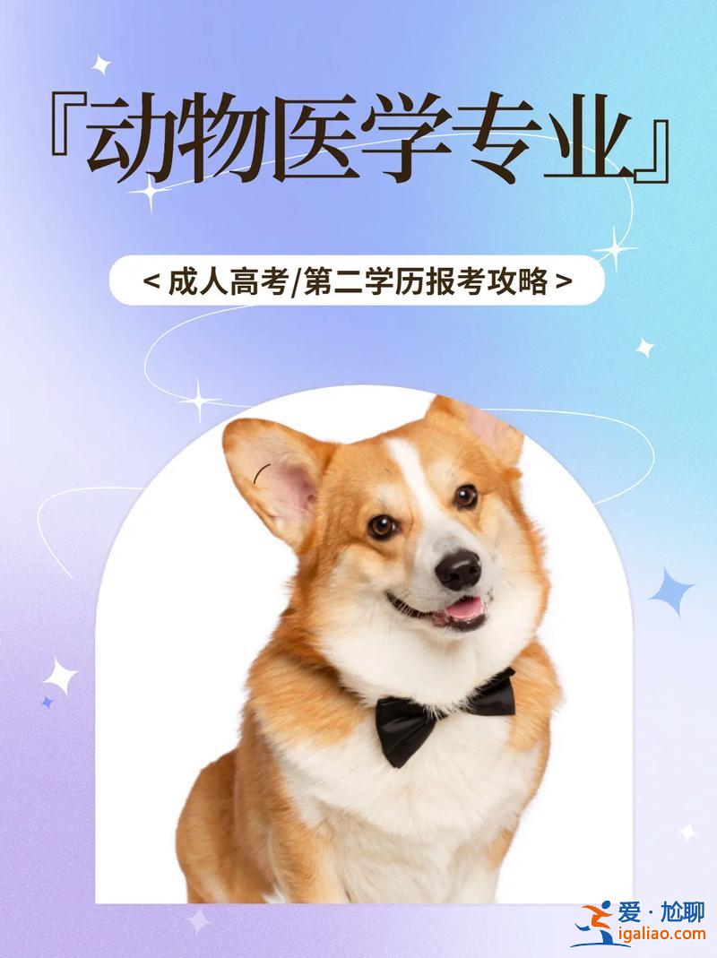 獸醫專升本？獸醫專科生有必要升本嗎？