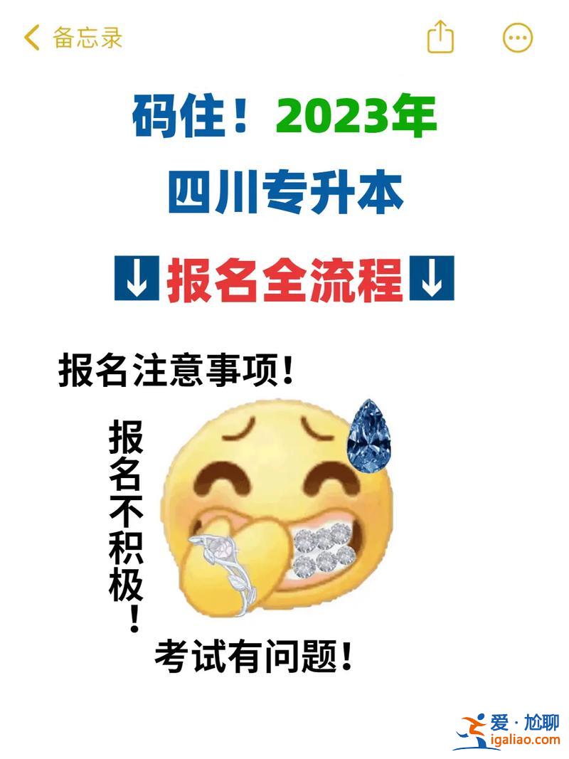 國外專升本 國際院校專升本怎么報名？