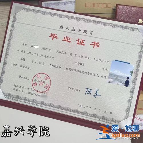 專升本錄取查詢，專轉(zhuǎn)本錄取通知書怎么查詢？