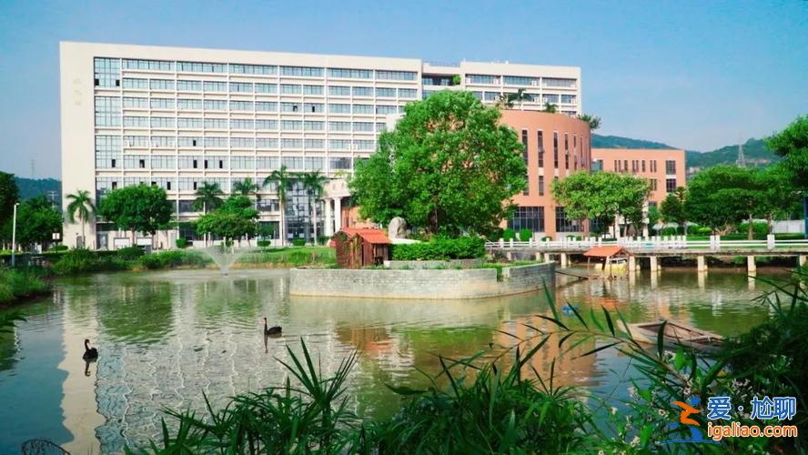 廈門專升本 廈門可以專升本的大學？