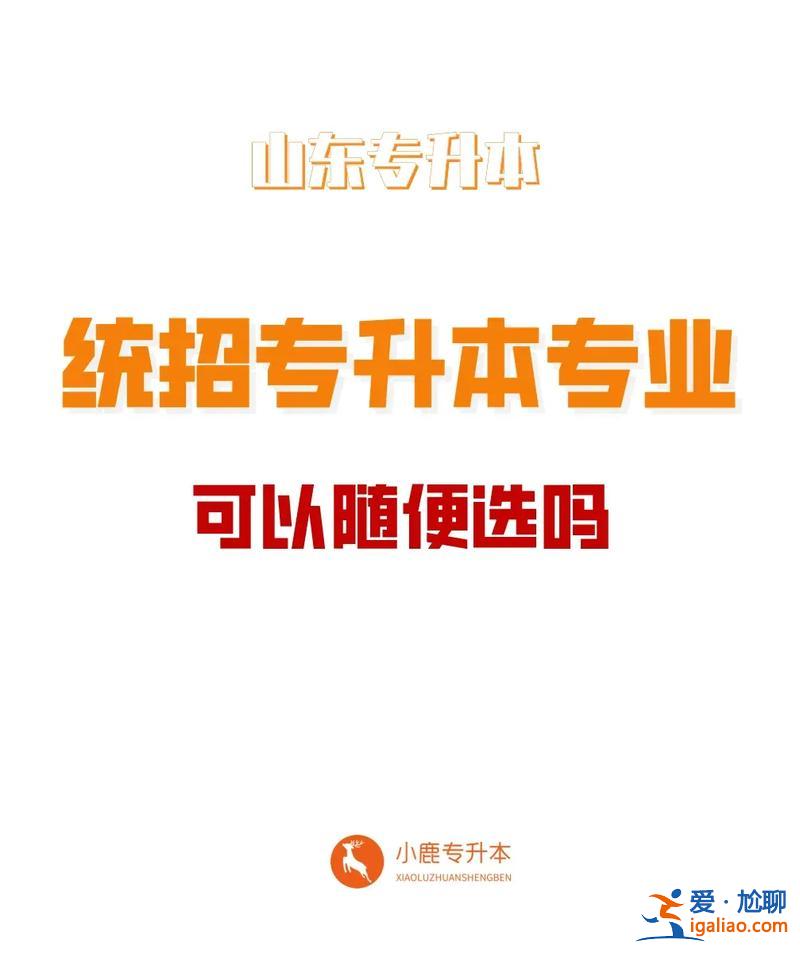 在校專升本 大四可以專升本嘛？